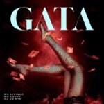 Capa da letra Gata