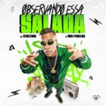 Capa da letra Observando Essa Salada