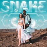 Capa da letra Snake