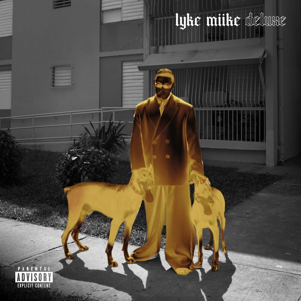 Capa da letra da música SOPHIE RAIN
