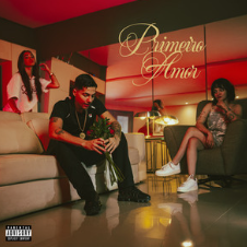 Capa da letra da música Primeiro Amor