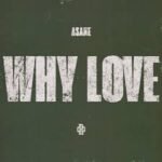 Capa da letra WHY LOVE (Tradução)