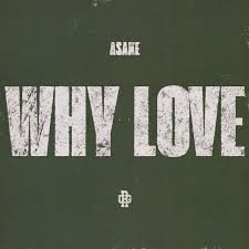 Capa da letra da música WHY LOVE (Tradução)