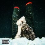 Capa do álbum $ome $exy $ongs 4 U