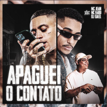 Capa da letra da música Apaguei o Contato