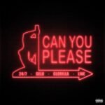 Capa da letra Can You Please