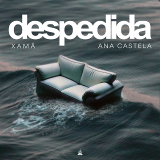 Capa da letra da música Despedida