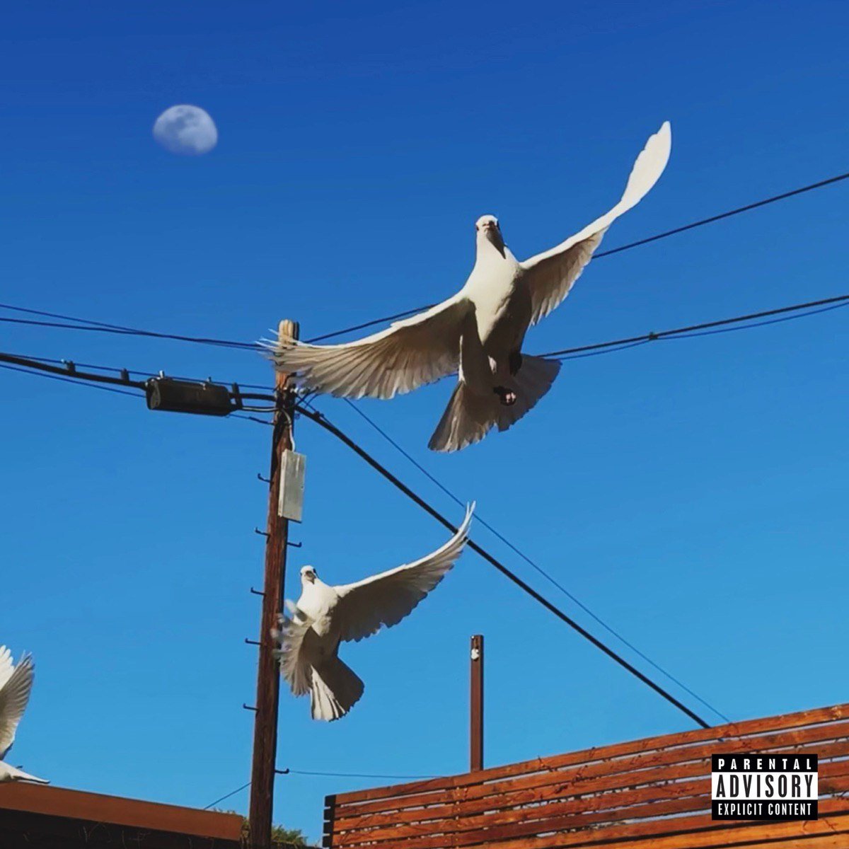 Capa da letra da música your name forever