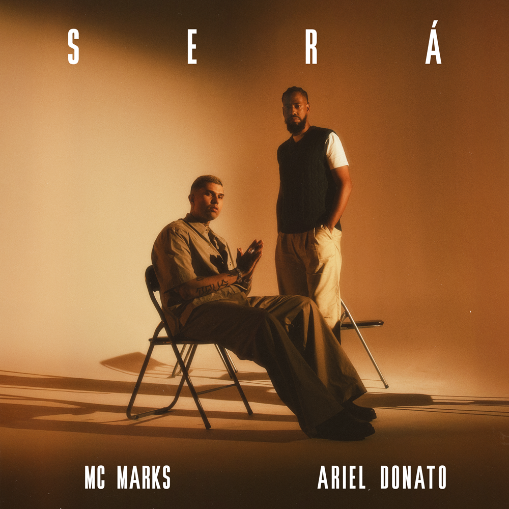 Capa da letra da música Será