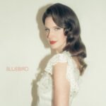 Capa da letra Bluebird