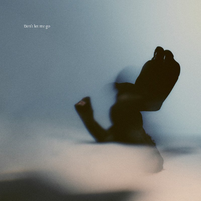 Capa da letra da música Don’t Let Me Go