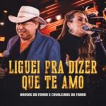 Capa da letra Liguei Pra Dizer Que Te Amo