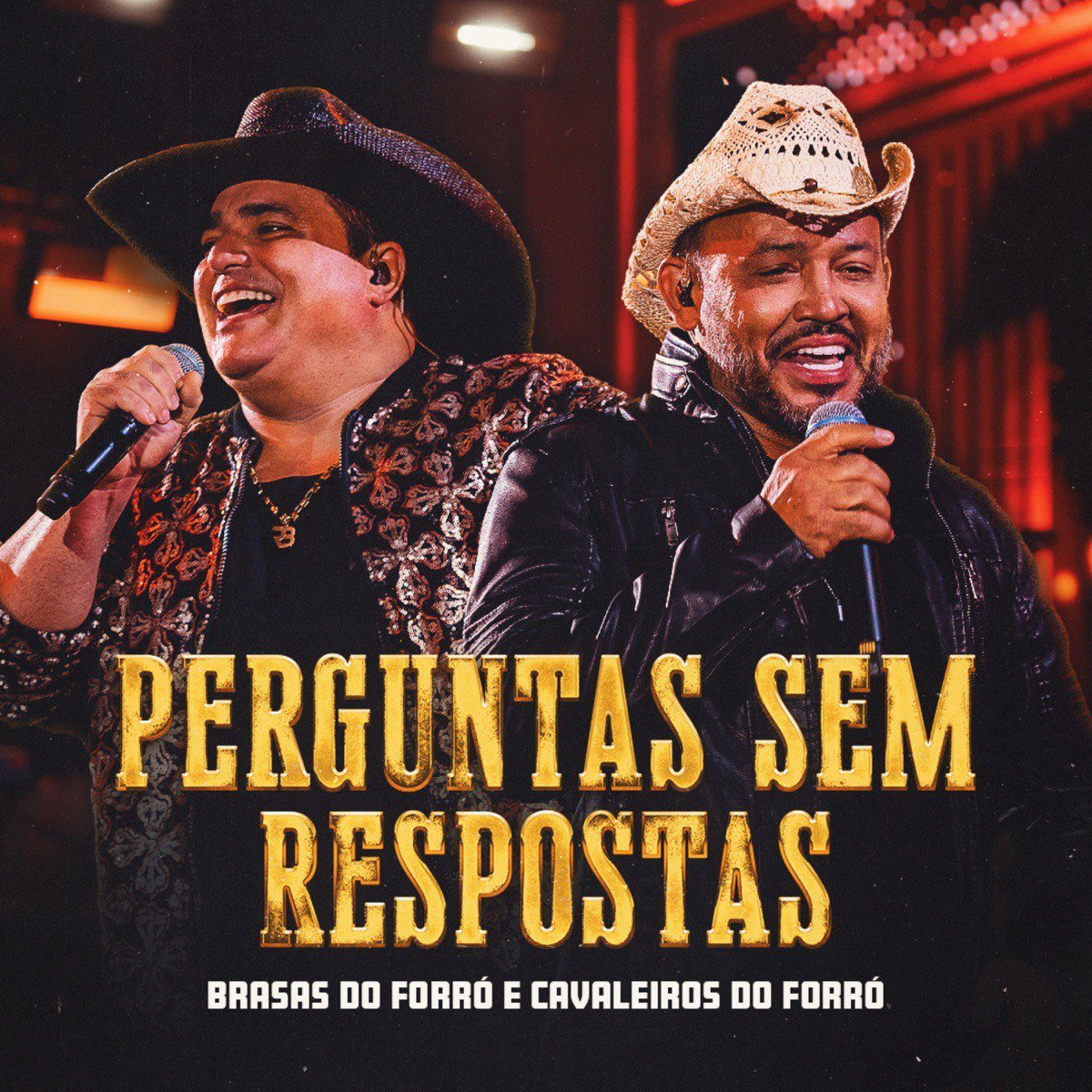 Capa da letra da música Perguntas Sem Respostas