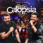 Capa da letra Ela Não Tá Sendo Ela (Ao Vivo)