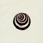 Capa da letra Lover Girl