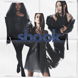 Capa da letra da música Shook