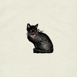 Capa da letra da música Tough Luck