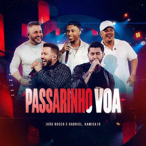 Capa da letra da música Passarinho Voa