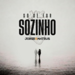Capa da letra Só Se For Sozinho